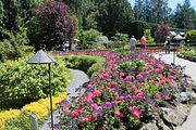 107 - Butchard Gardens  - IMG_1725